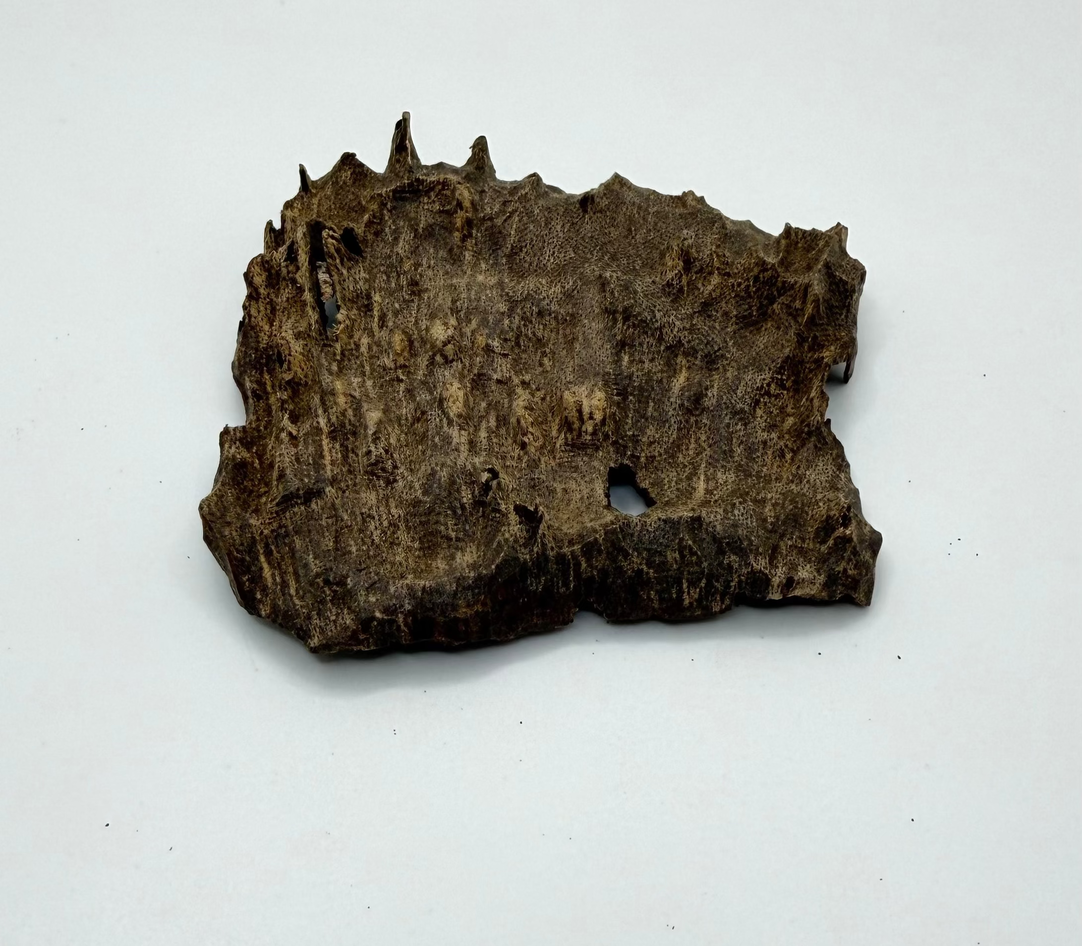 عود جار - هندي